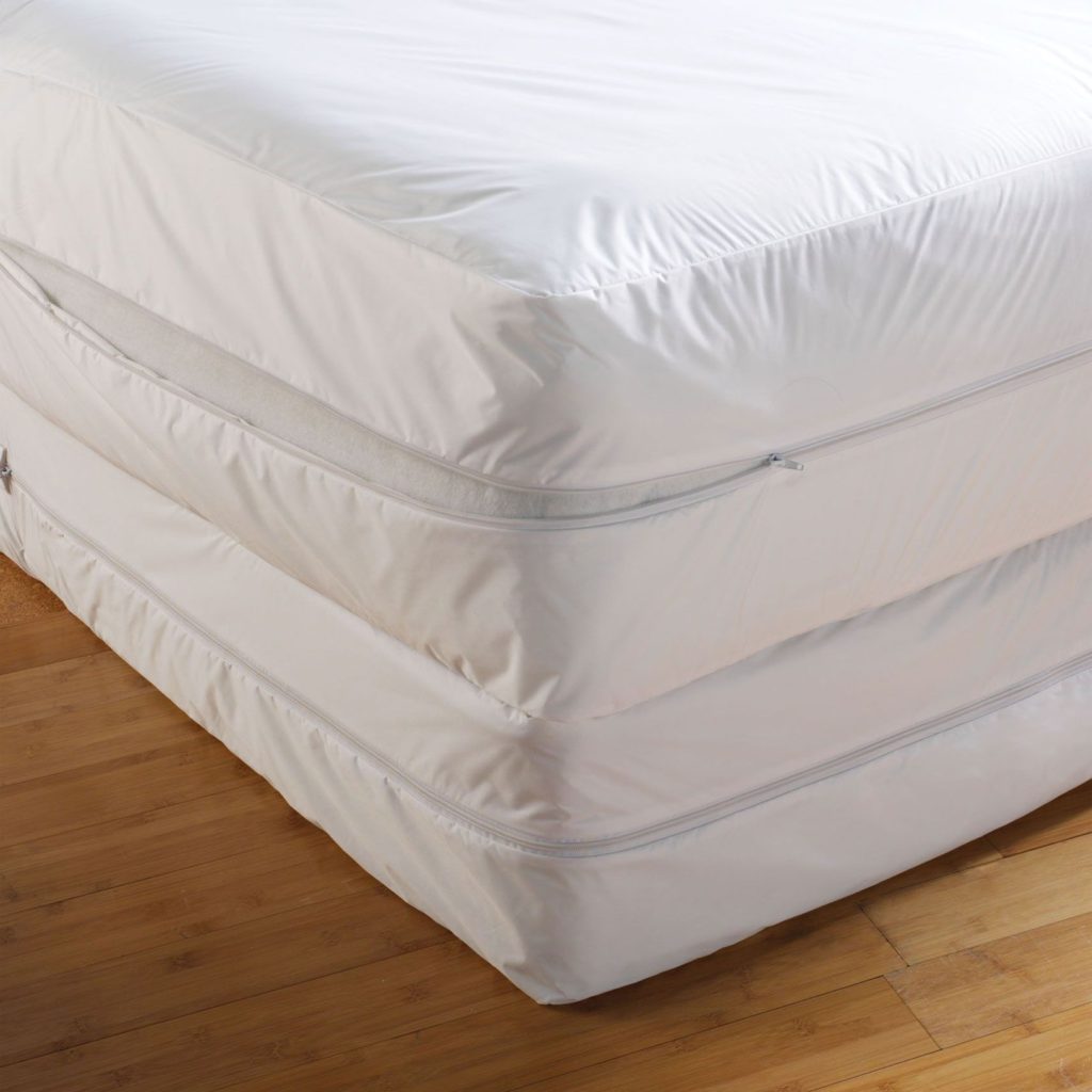 bed bug treatment for mattress