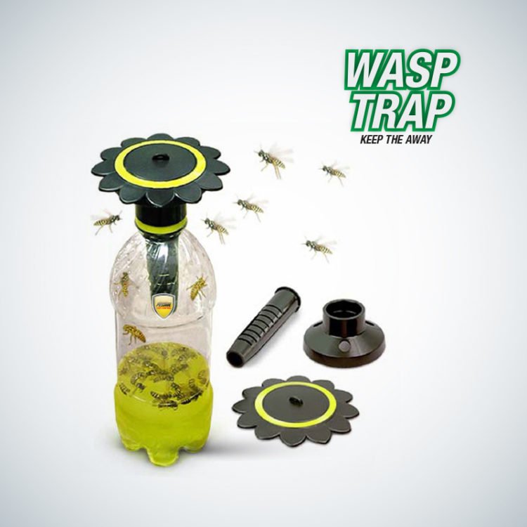 Pestrol Wasp Trap