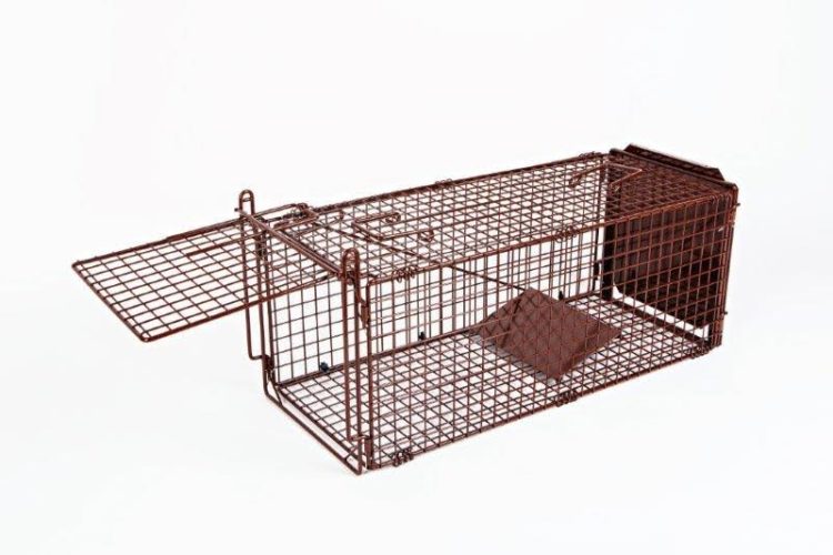 Heavy Duty Possum Trap