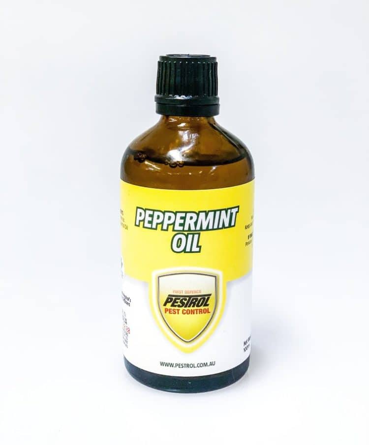pure peppermint oil for rats