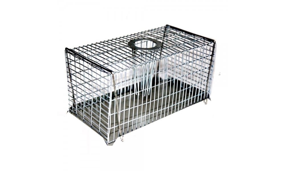 s TOP SELLING Possum Trap Pestrol Large. Cats dogs foxes