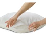 Bed Bug Pillow Covers