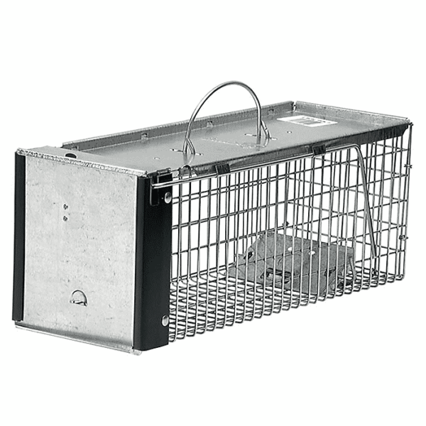 rodent trap