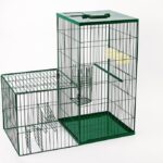 Mini Myna Magnet - Humane Bird Trap