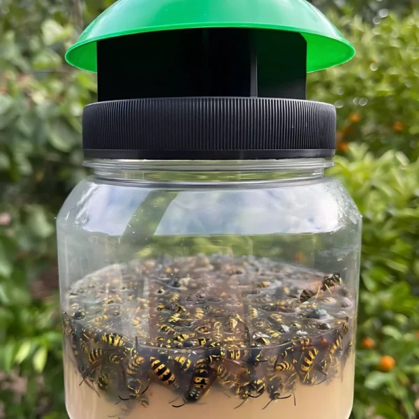 Envirosafe European Wasp Trap – Eco-Friendly Solution for Wasp Control.