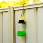 Envirosafe Regular Fly Trap – Non-Toxic and Effective Outdoor Fly Control.