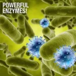 Green gobbler drain cleaner enzymes