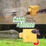 Humane Mouse Trap in action