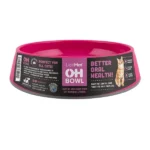 Oral Health Bowl for Cats - Oh Bowl