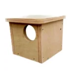 Owlet Nightjar Nesting Box