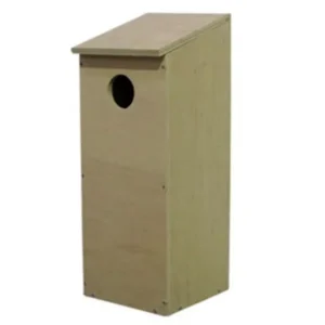 Red-Rumped Parrot Nesting Box