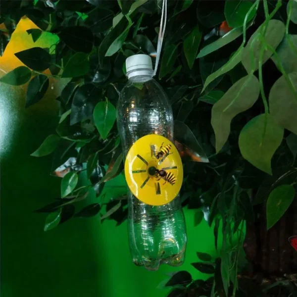 Soda Bottle Wasp Trap