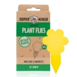 Plant Fly Ninja