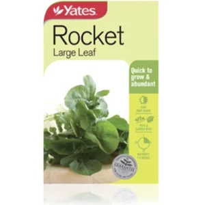 Rocket Large Leaf Seeds - Yates