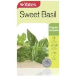 Sweet Basil Seeds - Yates