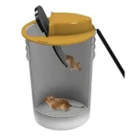 Mice Multi Catch Bucket Trap In Action