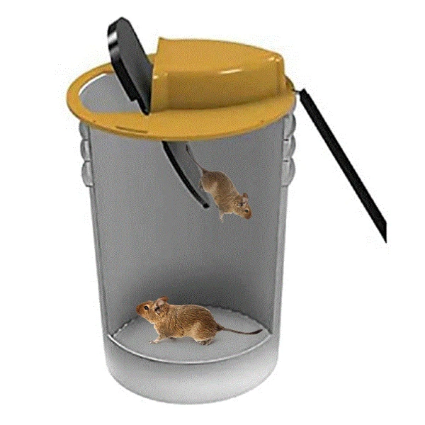 Automatic Humane Non-poisonous Rat And Mouse Trap Kit Rat Multi-catch Trap  Machine With CO2 Cylinders Humane Smart For Rats