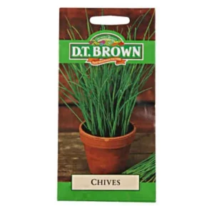 DT Brown Chives Seeds