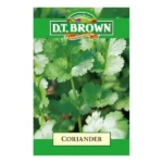 DT Brown Coriander Seeds