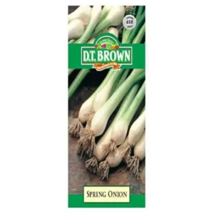 DT Brown Spring Onion Seeds