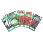 DT Brown Spring Vegetable Seed Bundle