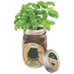 Mason Jar Grow Kit - Basil
