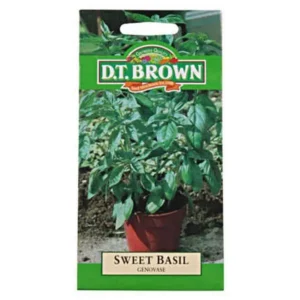 DT Brown Basil Seeds