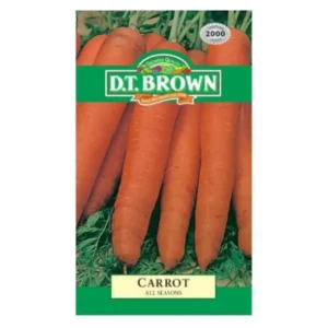 DT Brown Carrot All Year Seeds