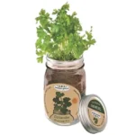 Mason Jar Grow Kit - Coriander