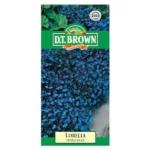 DT Brown Lobelia Crystal Palace Seeds