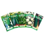 DT Brown Cucumber & Zucchini Seed Bundle