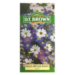 DT Brown Swan River Daisy Seeds