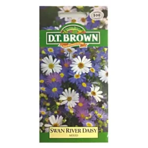 DT Brown Swan River Daisy Seeds
