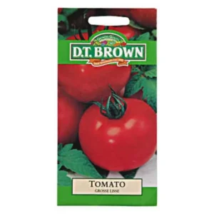 DT Brown Tomato Grosse Lisse Seeds
