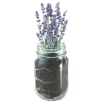 Mason Jar Grow Kit - Lavender