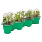 Little Gardeners Caterpillar Greenhouse Kit