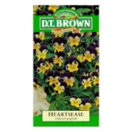 DT Brown Heartsease Mini Pansy Seeds