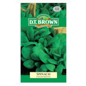 DT Brown Spinach Medania Seeds