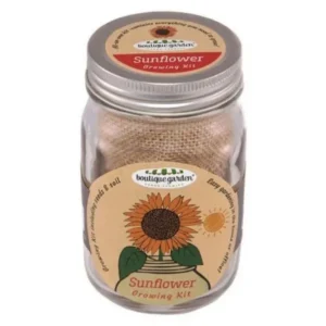 Mason Jar Grow Kit - Sunflower
