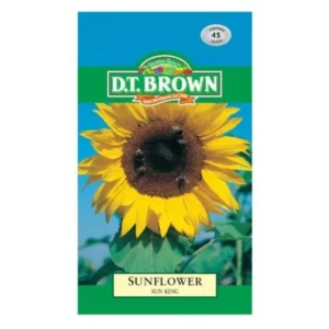 DT Brown Sunflower Sun King Seeds