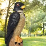 Bird deterrent falcon