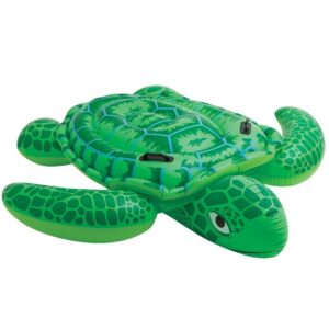 Lil' Sea Turtle Ride - On Pestrol