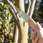 Cyclone Curved Pruning Saw - Timber Handle!