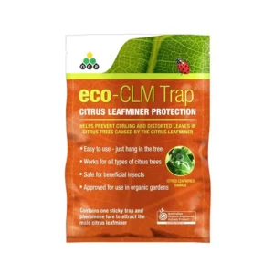 OCP Eco-CLM Trap