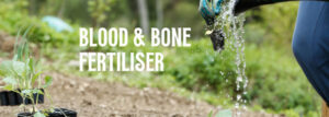 blood & bone fertiliser