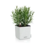 Puro cube planter