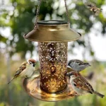 Solar Hanging Bird Feeder - Ample Space for your Feathered Friends