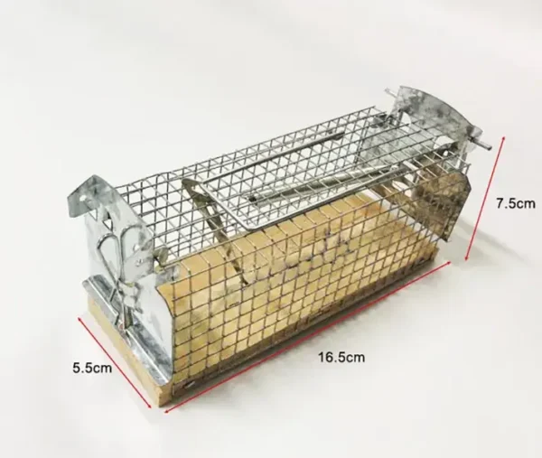 Wooden base mouse trap - 15 cm