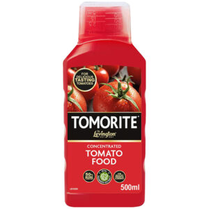 concentrated Tomato Food