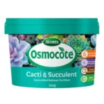 Osmocote Cacti & Succulent Controlled Release Fertiliser 500g